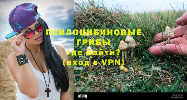 гидропоника Гусев