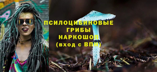 гидропоника Гусев